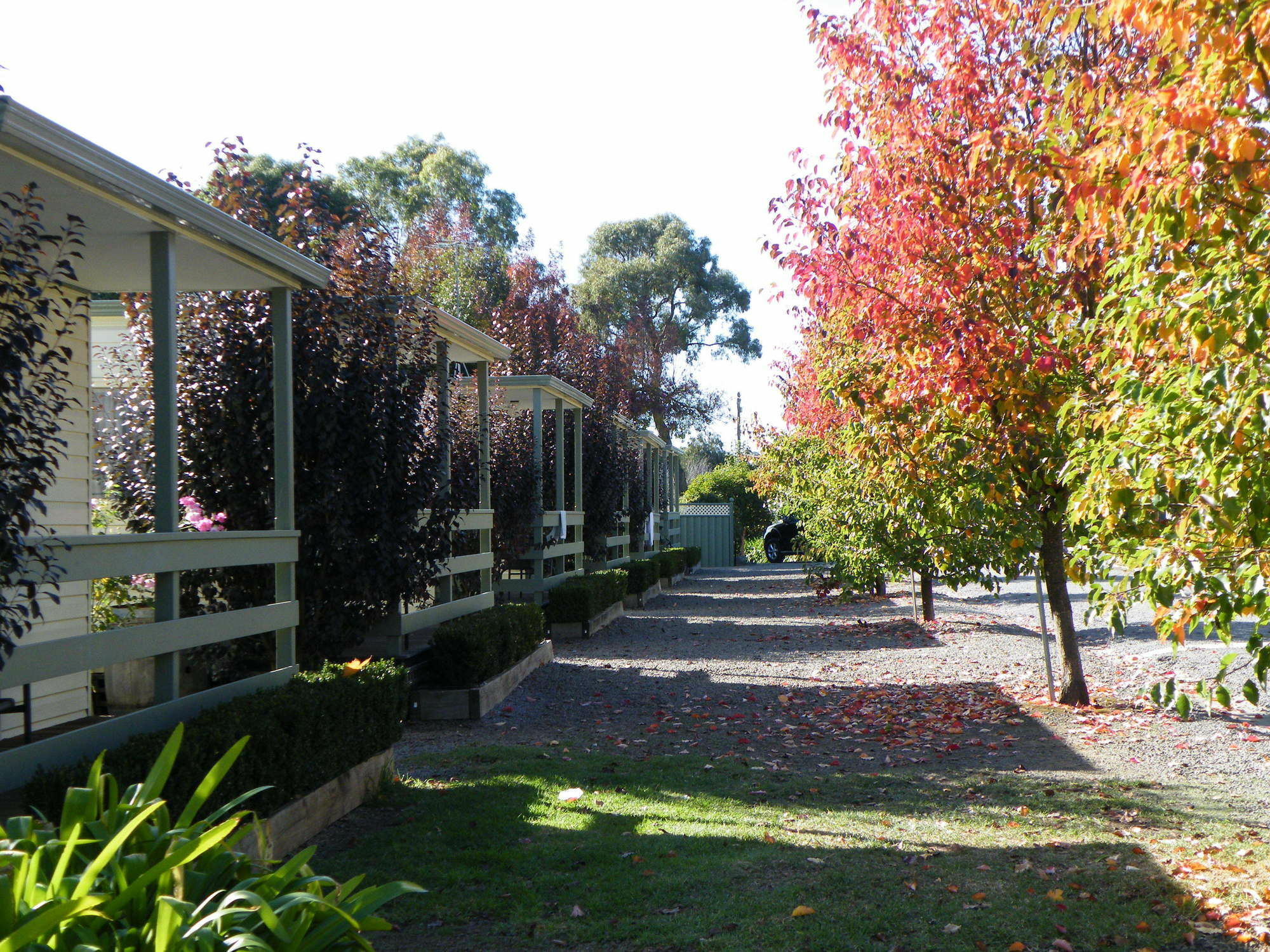 Lake Hamilton Motor Village And Caravan Park Luaran gambar