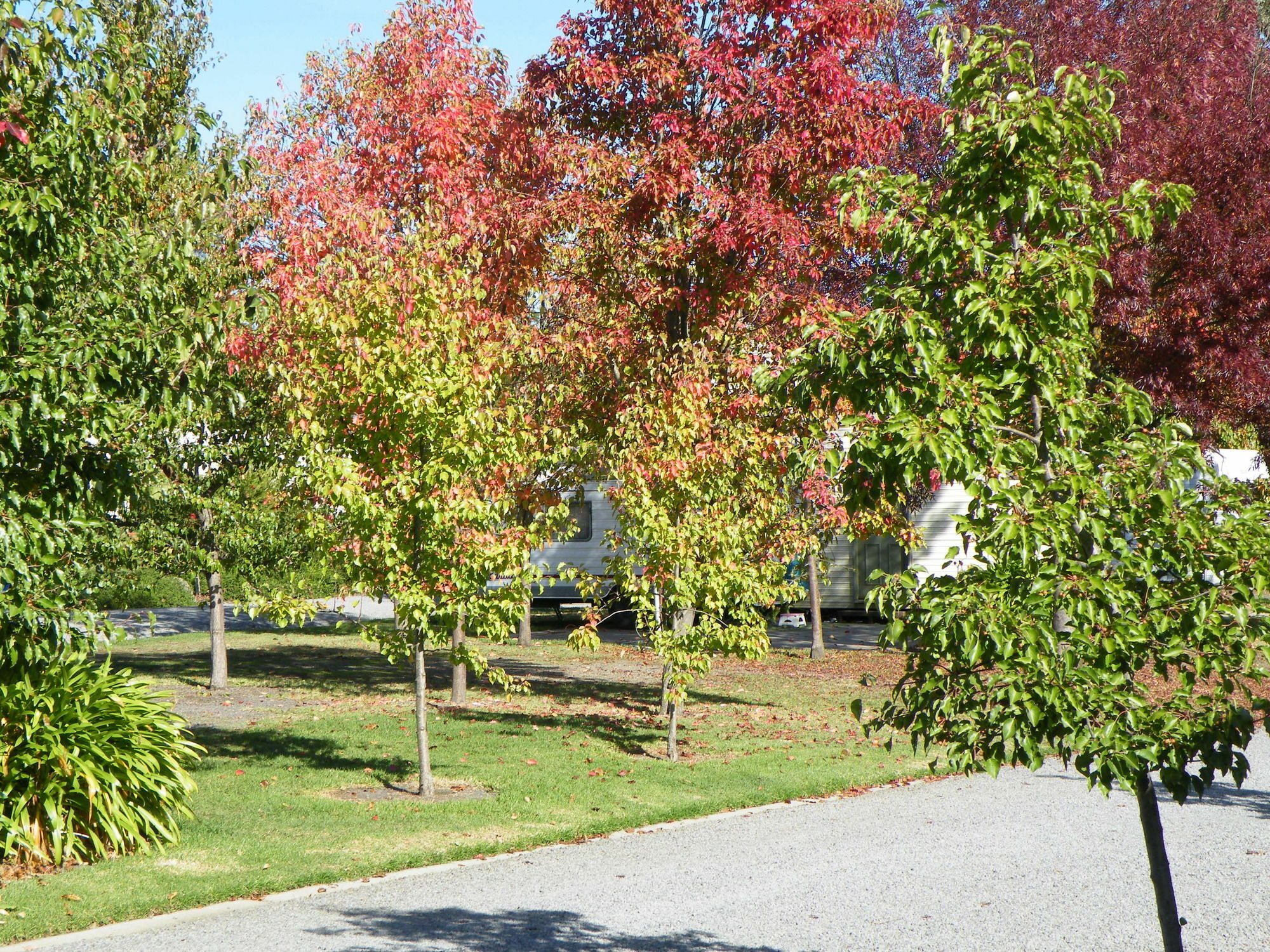 Lake Hamilton Motor Village And Caravan Park Luaran gambar